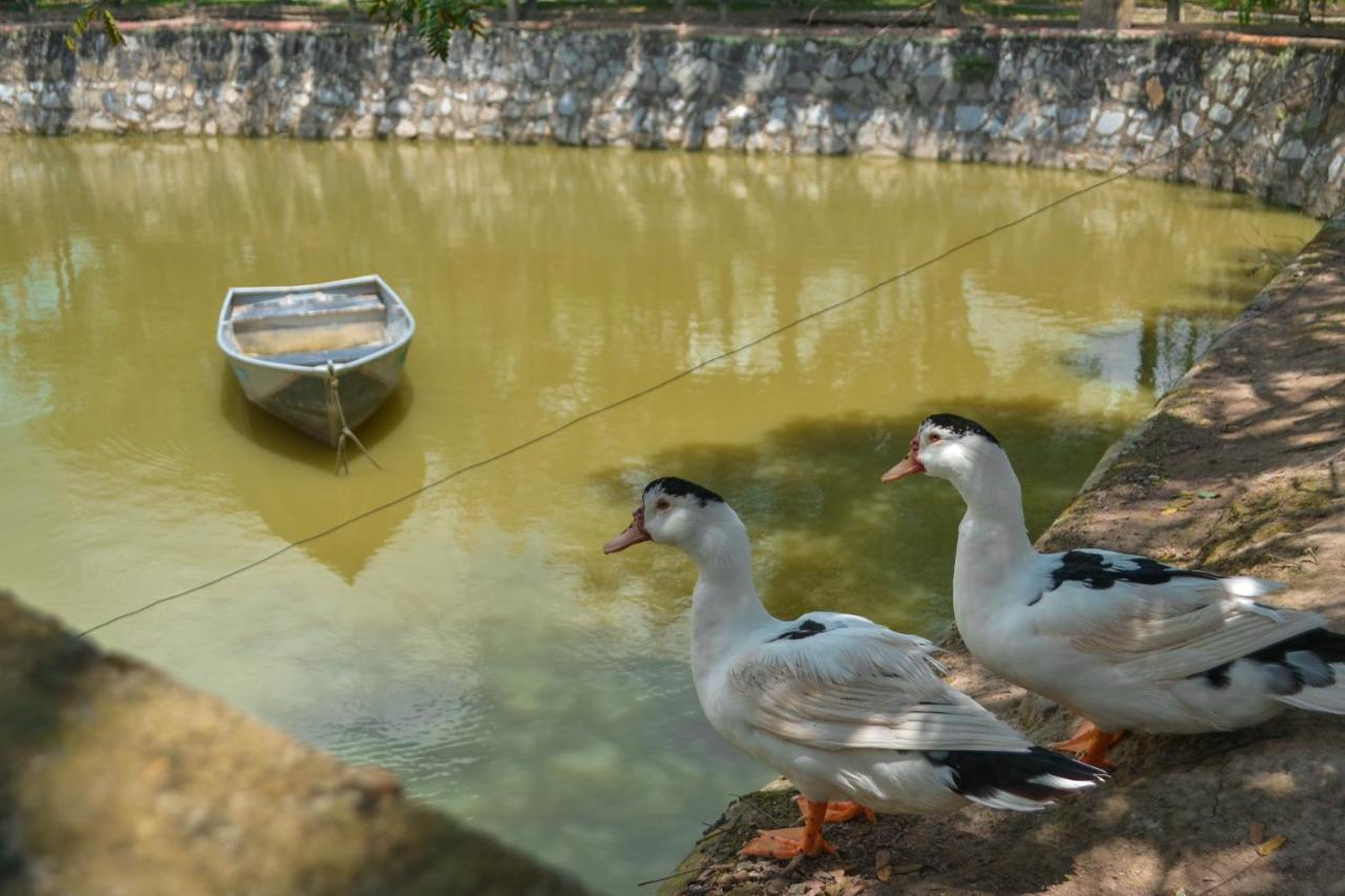 Vila Chacara Maluco Beleza 2 Gravatá Exteriér fotografie